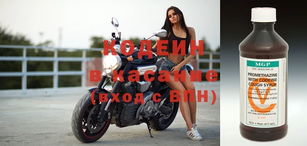 ПСИЛОЦИБИНОВЫЕ ГРИБЫ Михайлов