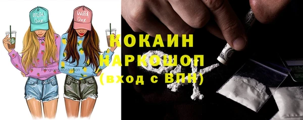 ПСИЛОЦИБИНОВЫЕ ГРИБЫ Михайлов