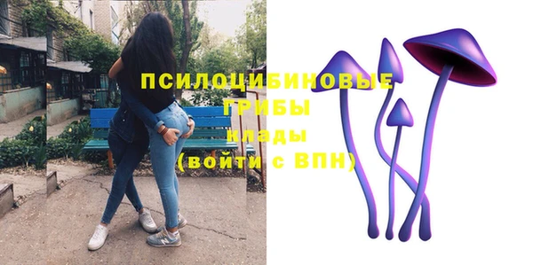 тгк Михайловка