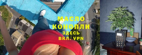 ПСИЛОЦИБИНОВЫЕ ГРИБЫ Михайлов
