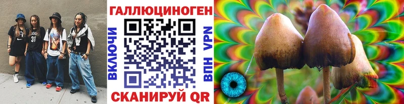 Купить где  Ачхой-Мартан  Псилоцибиновые грибы GOLDEN TEACHER 