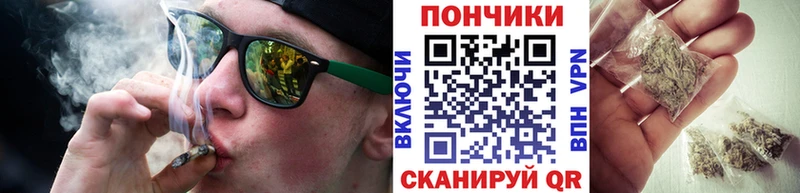 Конопля гибрид  Купить закладки  Ачхой-Мартан 